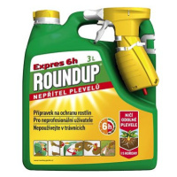 ROUNDUP Herbicid EXPRES 6h, 3l