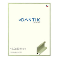 DANTIK rámeček 40 × 50, ALU profil 6035 Dýha barevný zelený pastel sklo čiré