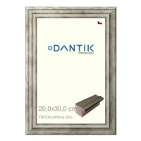 DANTIK rámeček 20 × 30, TRITON stříbrný sklo čiré