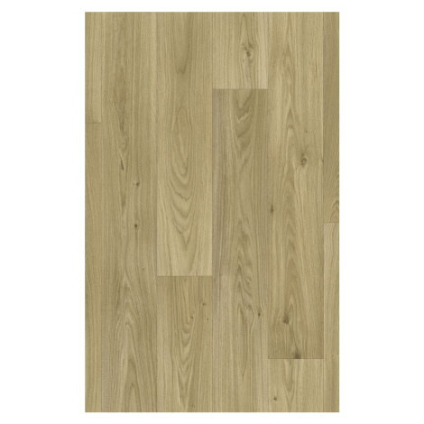 Beauflor PVC podlaha - lino Quintex Gambel Oak 116M  - dub - Rozměr na míru cm