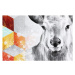 Obraz na plátně SCANDI DEER H 60x60 cm Ludesign