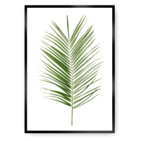 Dekoria Plakát Palm Leaf Green, 50 x 70 cm, Vybrat rám: Černý