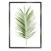 Dekoria Plakát Palm Leaf Green, 50 x 70 cm, Vybrat rám: Černý