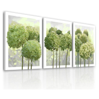 Obraz na plátně HORTENZIE zelené květy set 3 kusy různé rozměry Ludesign ludesign obrazy: 3x 50x