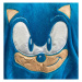 Župan Sonic: The Hedgehog - Class of 91 - 05055437937233
