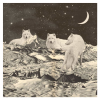 Obrazová reprodukce Three Giant White Wolves on Mountains, Bodart, Florent, 40 × 40 cm