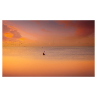 Fotografie Albufera kayaking at sunset 7D17, joanaduenas, 40 × 24.5 cm