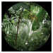 CR 3213 AG Design fototapeta ekologická vliesová samolepící 1-dílná kulatá Džungle, velikost 70x