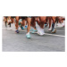 Fotografie Low Section Unknown People Running Marathon,, Elena Popova, 40 × 22.2 cm