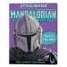Obraz na plátně Star Wars: The Mandalorian 2 - This is the Way, (40 x 50 cm)
