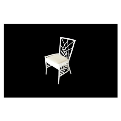 Ratanová jídelní židle SARA - bílý ratan FOR LIVING