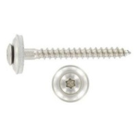 WT WINTECH Klemp. šroub + EPDM, Torx 4,5 × 120 A2 100 ks