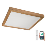 Brilagi Brilagi-LED Stmívatelné svítidlo WOODY FRAME LED/50W/230V dub 60x60 cm IP44 + DO