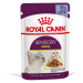 Royal Canin Sensory Smell v želé - výhodné balení: 48 x 85 g