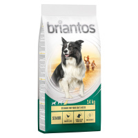 Briantos Senior s drůbežím a rýží - 14 kg