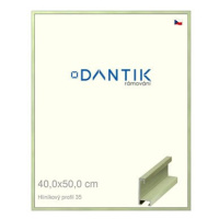 DANTIK rámeček 40 × 50, ALU profil 6035 Dýha barevný zelený pastel plexi čiré