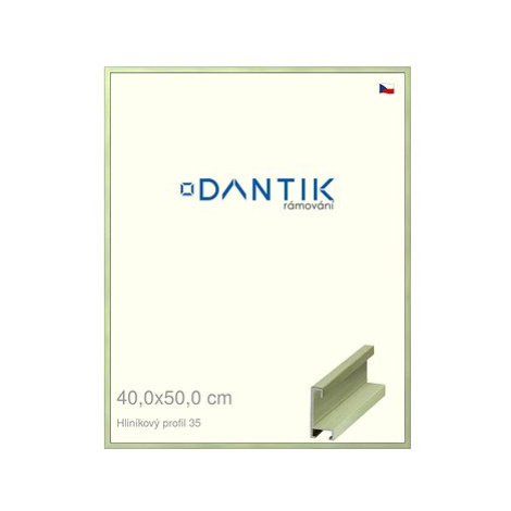 DANTIK rámeček 40 × 50, ALU profil 6035 Dýha barevný zelený pastel plexi čiré