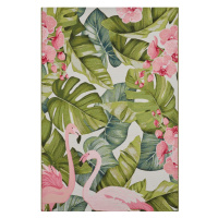 Kusový koberec Flair 105614 Tropical Flamingo Multicolored – na ven i na doma 240x340 cm