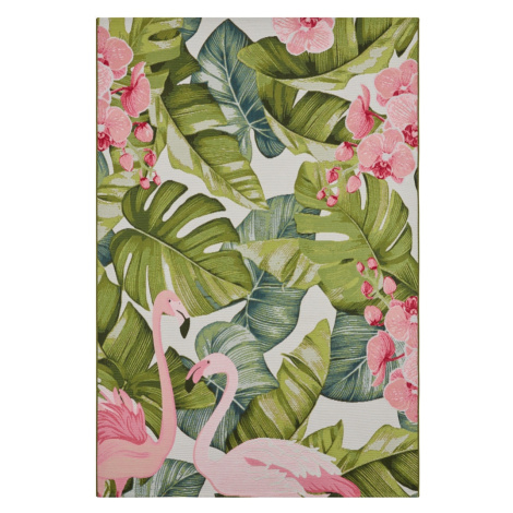 Kusový koberec Flair 105614 Tropical Flamingo Multicolored – na ven i na doma 240x340 cm Hanse Home