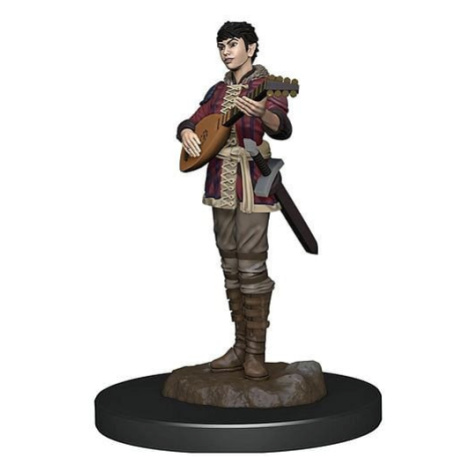 D&D Miniatures: Icons of the Realms - Half-Elf Bard Female WiZ