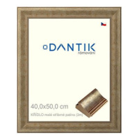 DANTIK rámeček 40 × 50, KŘÍDLO malé stříbrné patina sklo čiré