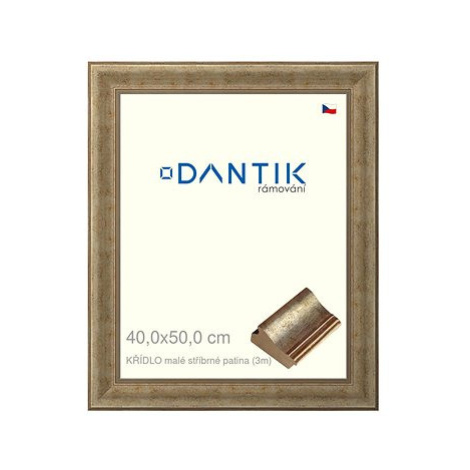 DANTIK rámeček 40 × 50, KŘÍDLO malé stříbrné patina sklo čiré