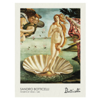 Obrazová reprodukce The Birth of Venus (1485), Sandro Botticelli, 30 × 40 cm