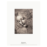 Obrazová reprodukce The Head of a girl (La Scapigliata) - Leonardo da Vinci, 30x40 cm