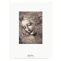 Obrazová reprodukce The Head of a girl (La Scapigliata) - Leonardo da Vinci, 30 × 40 cm