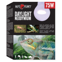 Žárovka REPTI PLANET Daylight Neodymium 75 W