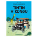 Tintin (2) - Tintin v Kongu ALBATROS