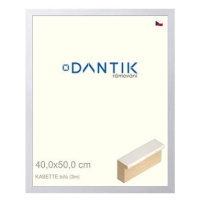 DANTIK rámeček 40 × 50, KASSETTE bílý plexi čiré