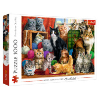 Trefl Puzzle 1000 - Setkání koček