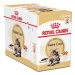 Royal Canin Maine Coon Gravy 12 × 85 g