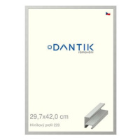 DANTIK rámeček 29,7 × 42, ALU profil 6220 Stříbrný matný plexi čiré