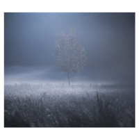 Fotografie A memory of Light, david	ahern, 40x35 cm