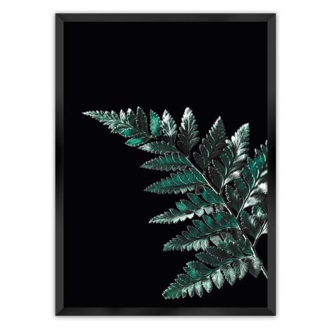 Dekoria Plakát Dark Fern Leaf, 21 x  30 cm, Volba rámku: Černý
