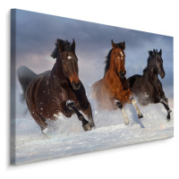 MyBestHome BOX Plátno Cválající Koně V Zimě Varianta: 120x80