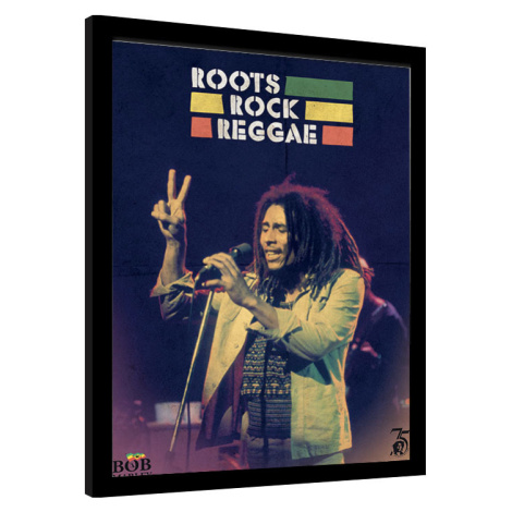 Obraz na zeď - Bob Marley - Roots Rock Reggae, 34.3 × 44.5 cm Pyramid