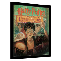 Obraz na zeď - Harry Potter - Ohnivý Pohár