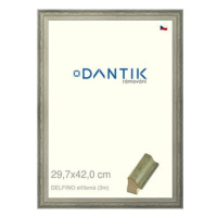 DANTIK rámeček 29,7 × 42, DELFINO stříbrný plexi čiré