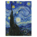 Obrazová reprodukce The Starry Night, Vincent van Gogh, 30 × 40 cm