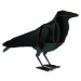 Ibride designové dekorace Ravens Edgar