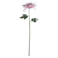 FLORISTA Chryzantéma 68 cm - fialová