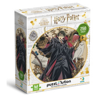 Puzzle Harry Potter Mladý kouzelník 250 dílků