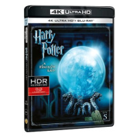 Harry Potter a Fénixův řád (2 disky) - Blu-ray + 4K Ultra HD