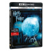 Harry Potter a Fénixův řád (2 disky) - Blu-ray + 4K Ultra HD