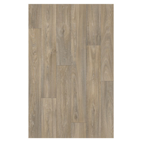 Beauflor PVC podlaha - lino Ambient Havanna Oak 613M - dub - Rozměr na míru cm