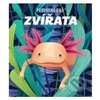 Podivuhodná zvířata - Cristina M. Banfi, Rossella Trionfetti (Ilustrátor) - kniha z kategorie Be