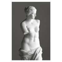 Fotografie Venus de Milo on grey, 221A, 26.7 × 40 cm